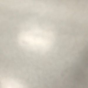 Meet your Posher, Sandy